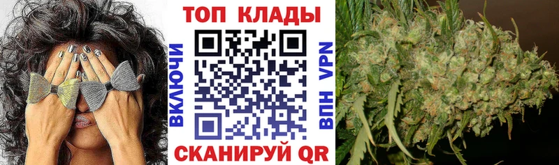 Где купить наркотики Бабушкин ГАШ АМФ МЕФ Кокаин СК