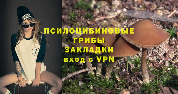 соль ск Алексеевка
