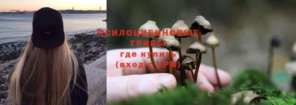 соль ск Алексеевка