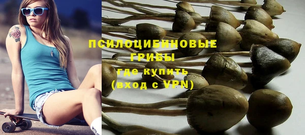 соль ск Алексеевка